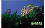 網(wǎng)絡(luò)熱門純玩游：張家界、天子山、袁家界、楊家界 自助三日游