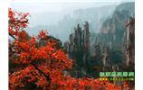春節(jié)期間：張家界、天子山、金鞭溪自駕車精華精品游