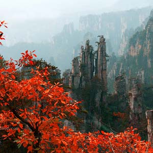 休閑自駕E線：張家界、袁家界、天子山、寶峰湖、鳳凰古城、沱江泛舟四晚五日游