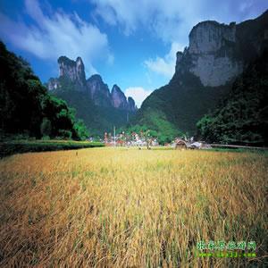 張家界往返純玩散拼：矮寨大橋、德夯苗寨、鳳凰古城、芙蓉鎮(zhèn)二日游