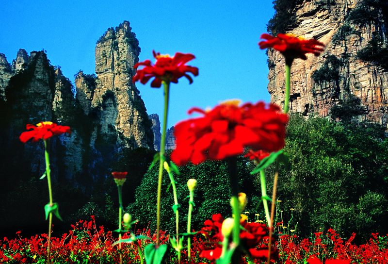 LF線：張家界國家森林公園、猛洞河漂流、鳳凰古城純玩自助五日游